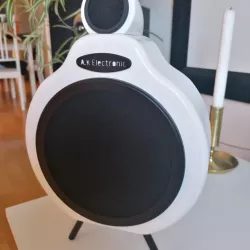 Active speaker with multiroom