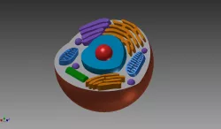 Animal Cell