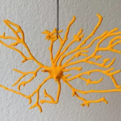 Astrocyte Ornament