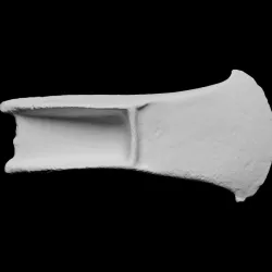 Axehead(Palstave)