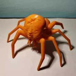 Baby with the body of a spider