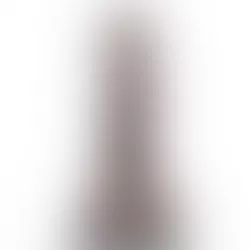 Big Dick