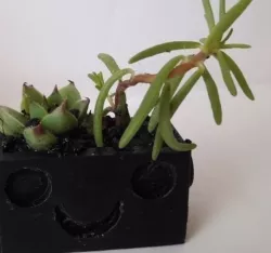 BIO - FLOWERPOT