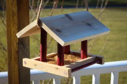 Bird Feeder