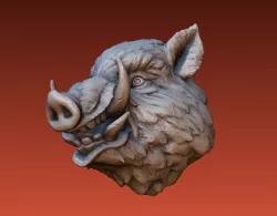 Boar head