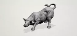 Bull 01