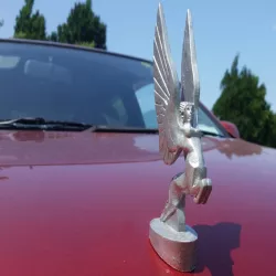 Car Mascot Centaurs