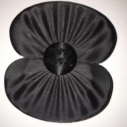 Car Poppy - Poppy Day 2019