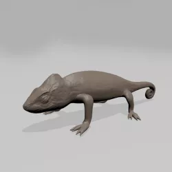 Chameleon