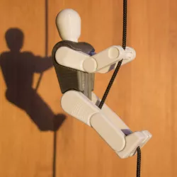Climbing Robot