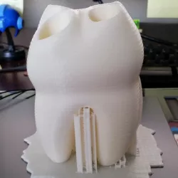 Community Print 3D Print of The Big Tooth