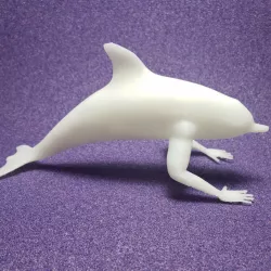 Creepin Dolphin
