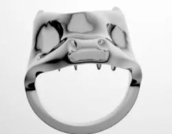 Dragon Ring