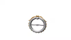 eagle Ring