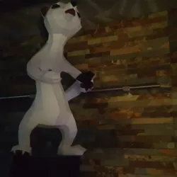 ermine ferrets
