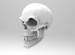 Evil Skull