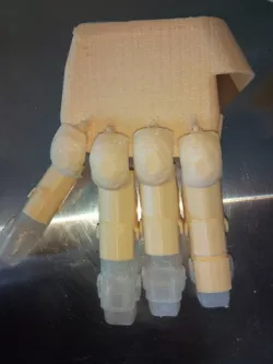exo glove
