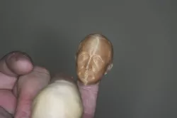 Fingerpop Poutine