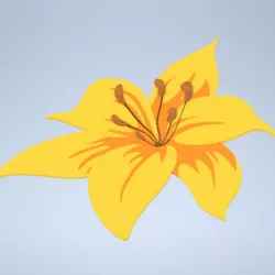 Flower - Monocot
