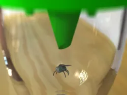Fly away