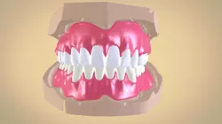 Full Dentures with Many Production Options
