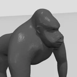 Gorilla