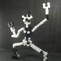 H-Go