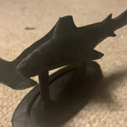 Hammerhead Shark