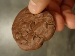 High Res Scan, Chocolate Chip Cookie.