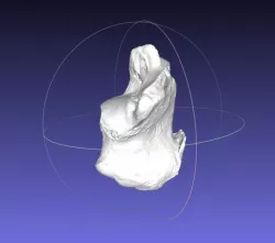 High resolution Human Calcaneus (Heel Bone) Scan