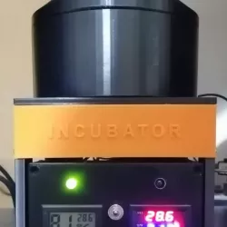 Incubator for reptile eggs