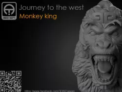 Journey to the West - Monkey king