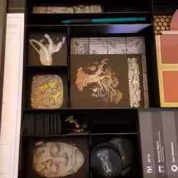 Kingdom Death - Box Organizer, Token Trays, Extras