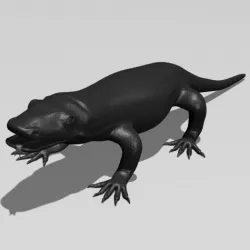 Komodo Dragon