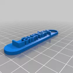 Laundry key ring
