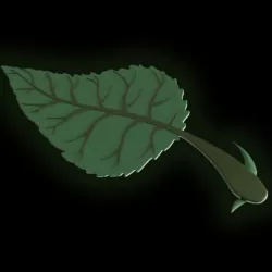 Leaf