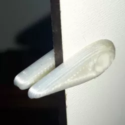 Locking Tab