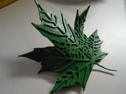 Maple Leaf