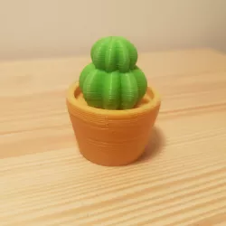 Mini Cactus pot