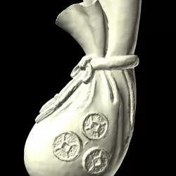 Money Pouch
