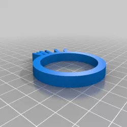 My Customized Personalized Napkin Rings Will