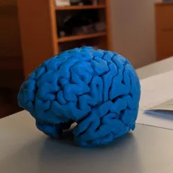 MyBrain
