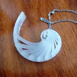 Nautilus shell
