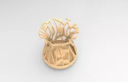 Organic Vase