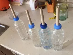 plant watering