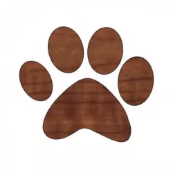 Pumpkin Paw Print, Halloween Paw Print, Kids Halloween Craft, Animal Paw Design, Animal Lover