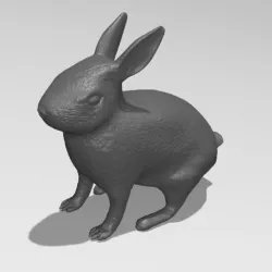 Rabbit