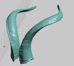 Real Evil Satan Goat Horns, High Resolution Scans