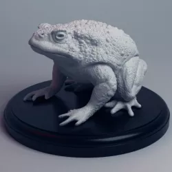 Realistic Toad