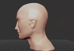 roughly formed Head as a template